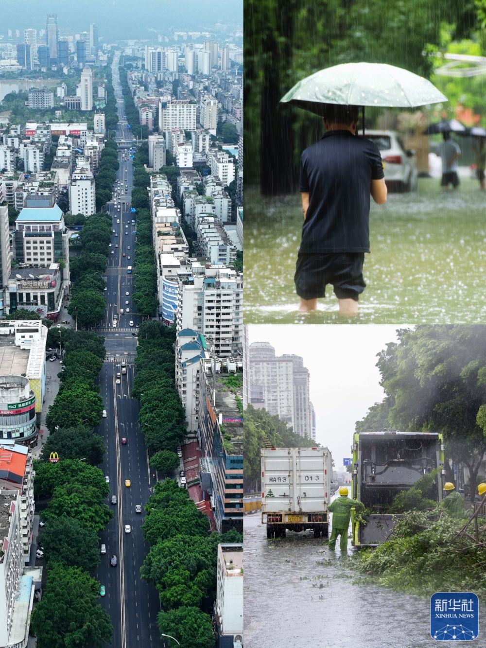 新华社关注福州：逐步恢复正常生产生活秩序(图5)