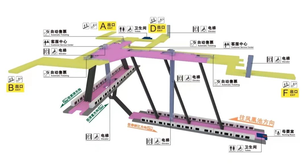 独特！福州首次！今天一早有很多人惊喜体验到了……(图23)