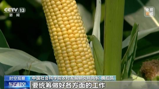 江苏淮安485万亩水稻进入破口抽穗期智慧农业助力增收(图3)