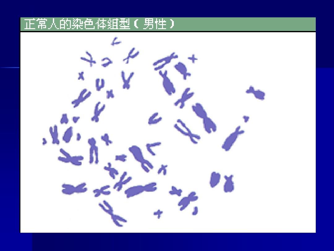 科学家组装人类Y染色体第一个完整序列补齐人类基因组