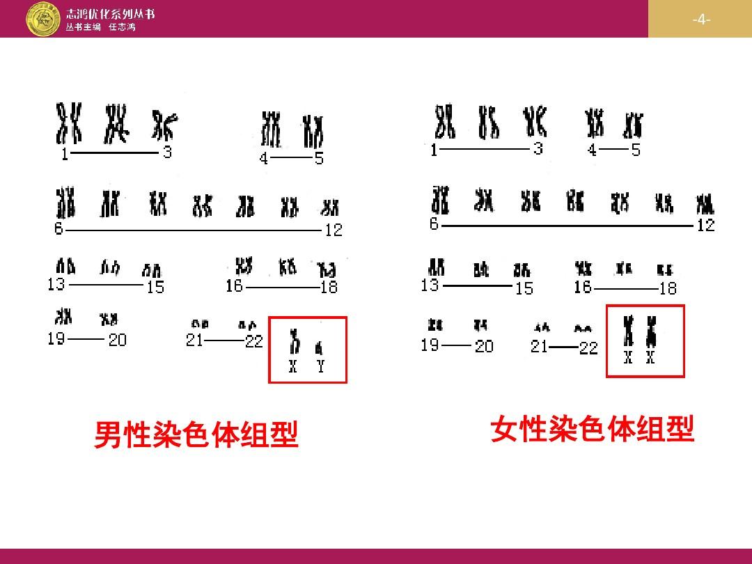 科学家组装人类Y染色体第一个完整序列补齐人类基因组(图2)