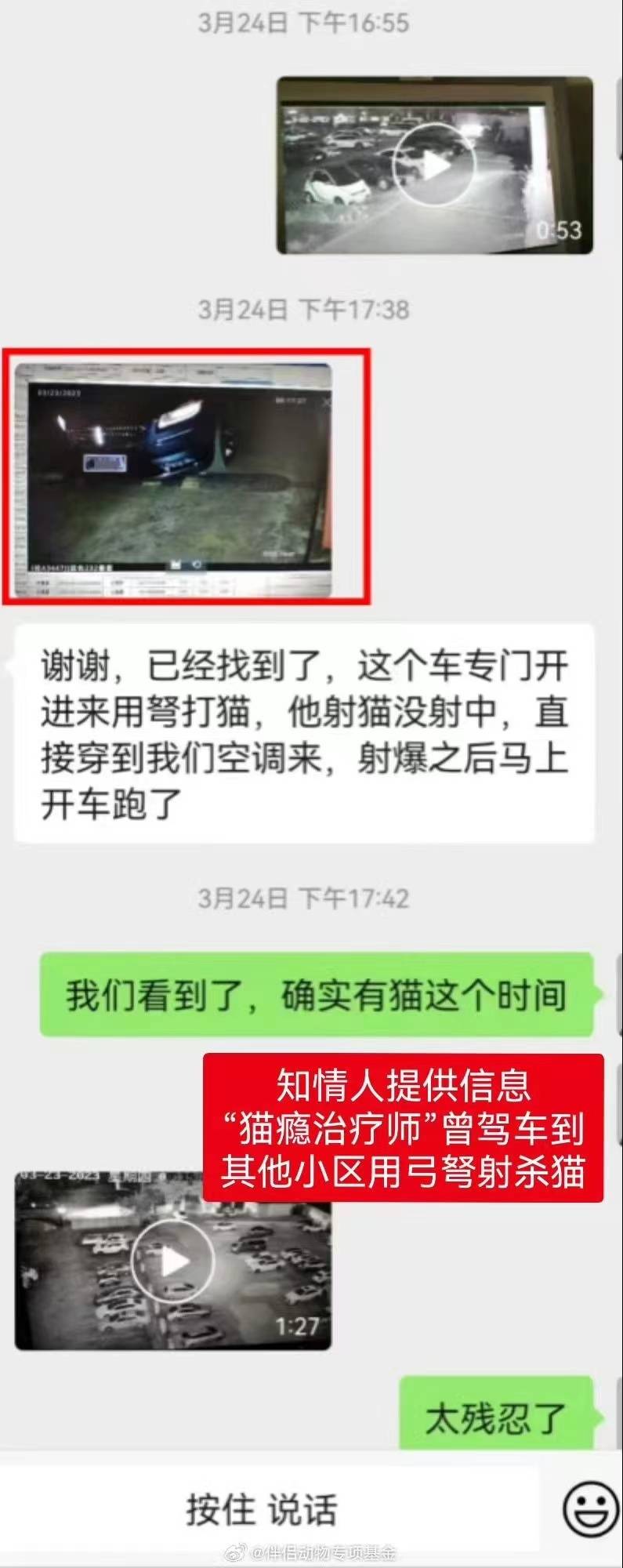 工行南宁新城支行通报“员工被曝虐猫”：属实已解除劳动合同(图2)