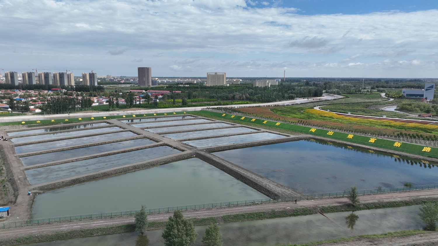 记者带你探秘新疆麦盖提县澳洲淡水龙虾试验养殖基地