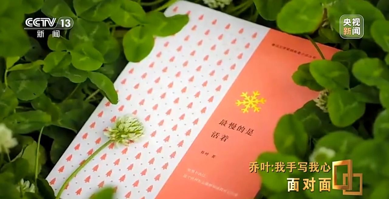 面对面丨“写作从来不负我”专访第十一届茅盾文学奖首位70后女作家乔叶(图9)