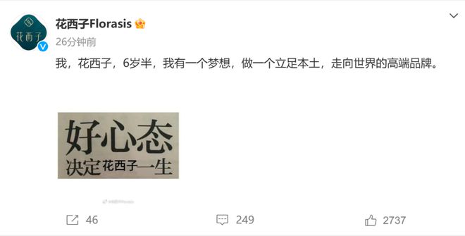 职业打假人王海：“花西子眉笔”涉嫌虚假宣传(图3)