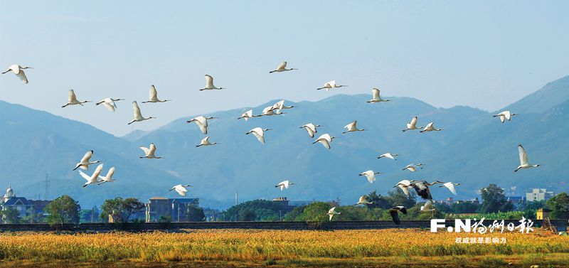 一张蓝图绘到底 大美湿地润榕城(图3)