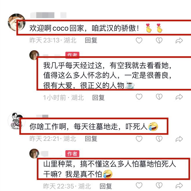 中国人讲究“落叶归根”！李玟下葬地点引发网友热议(图4)