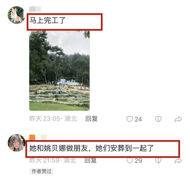 中国人讲究“落叶归根”！李玟下葬地点引发网友热议(图10)