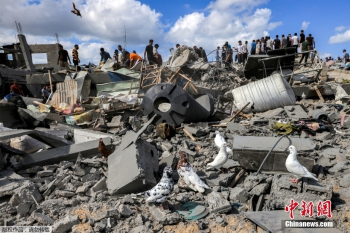 加沙地带卫生部门发“无耻地”质疑死亡人数质疑言论(图2)