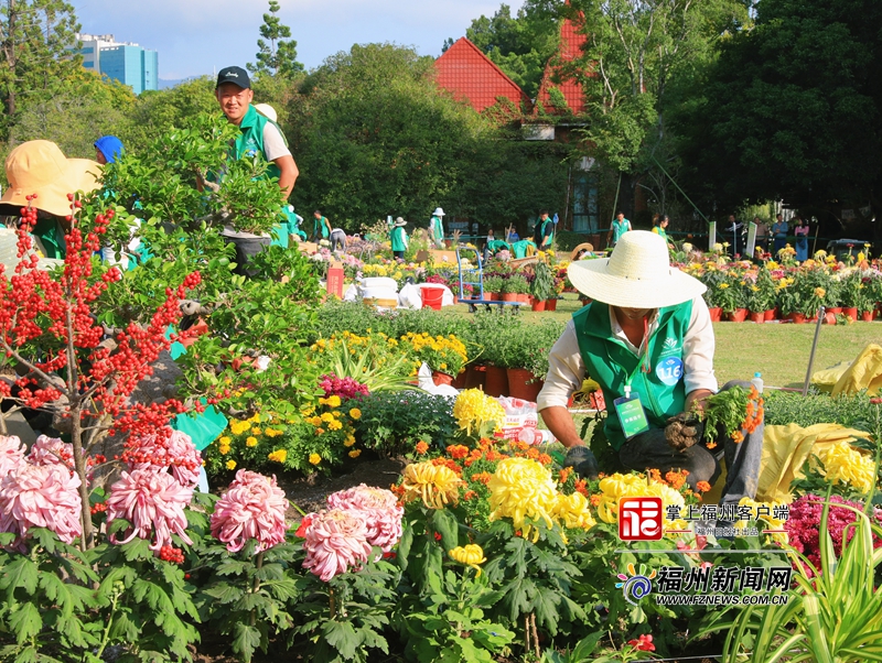 ​争奇斗艳！30组花境惊艳亮相左海公园(图12)