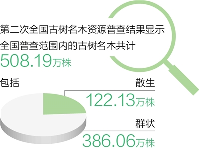 “绿色的国宝”“有生命的文物”——古树名木资源普查(图2)