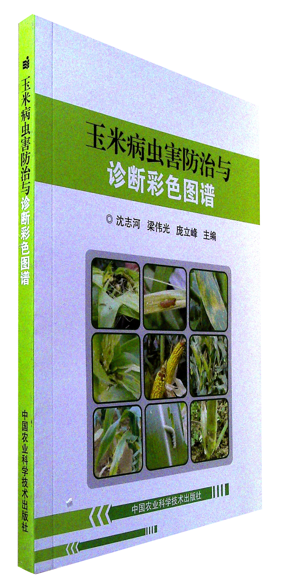 90后创客用AI给农作物“看病”将手机镜头对准一株疑似病虫害