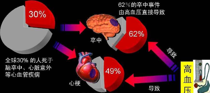 年轻男性要比年轻女性更要关注“三高”和心血管健康