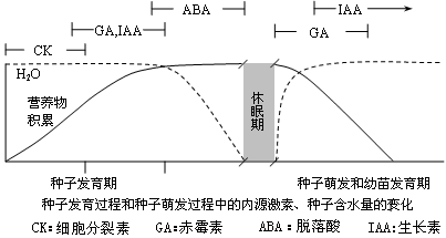 福建农林大学发现两个新生长素结合蛋白形成复合体(图1)