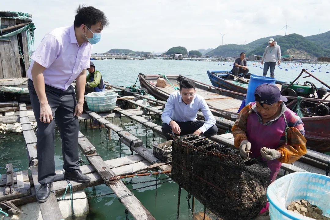 海滨小渔村，​拥“鲍”向未来！(图6)