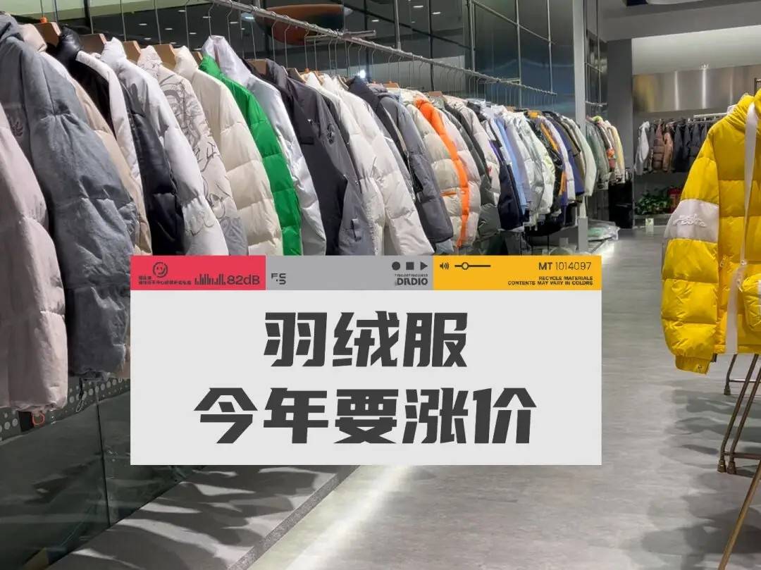 洋品牌卖得高价，国产羽绒服如何定价？(图1)