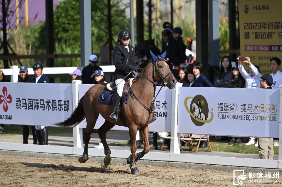 策马奔腾！福州首届马术锦标赛开幕！(图3)