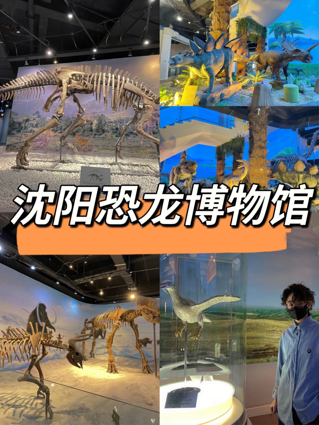 “2022年度全国地质古生物科普十大进展”评选结果揭晓(图2)