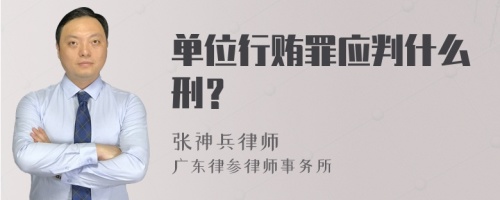 十四届全国人大常委会第七次会议对刑法修正案草案进行初次审议