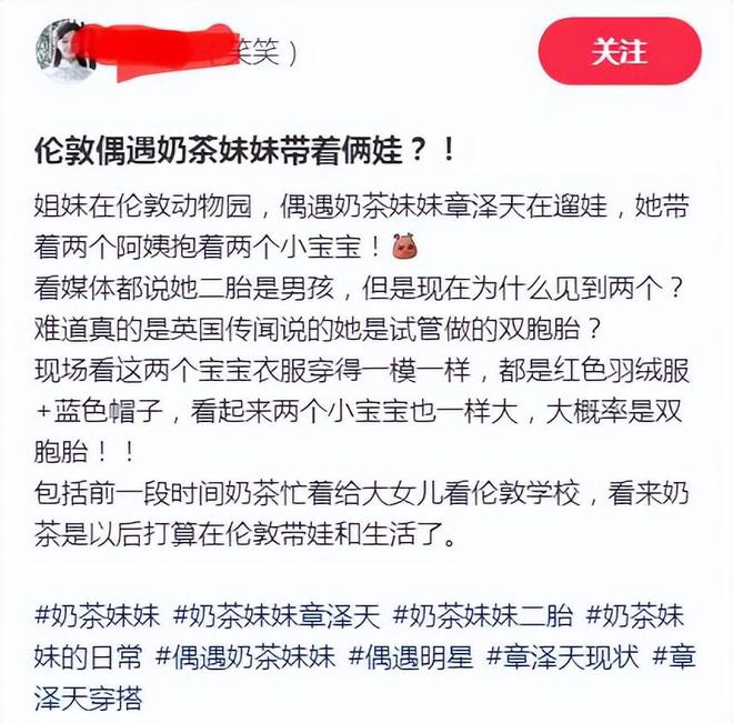 疑似章泽天带着两个婴儿现身英国动物园被拍(图4)