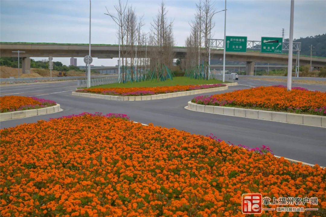 今日通车！全程免费！福州主城区⇋滨海新城，20分钟！(图9)