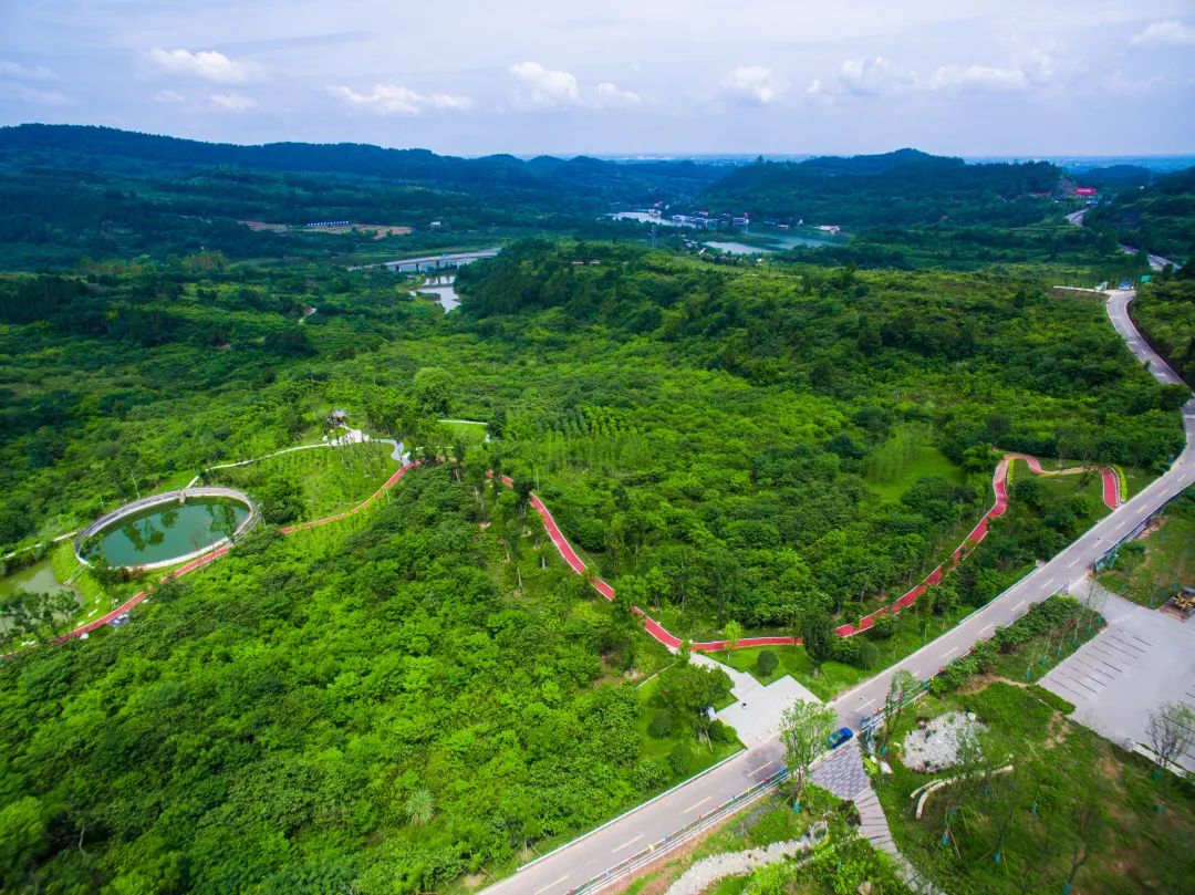 全国共建成国家森林城市219个省和新疆生产建设兵团