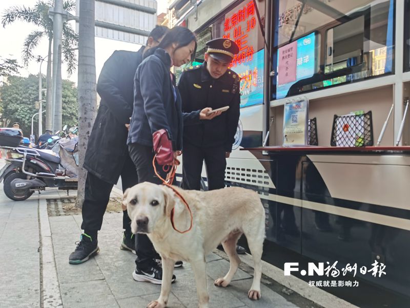 晋安区加大养犬登记工作 登记数量居全市前列