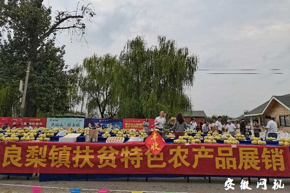 脱贫地区农副产品网络销售平台销售额超500亿元(图2)