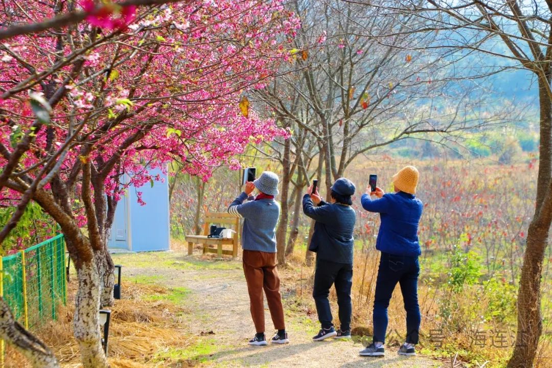 提前上线！福州林阳寺颜值巅峰！(图16)