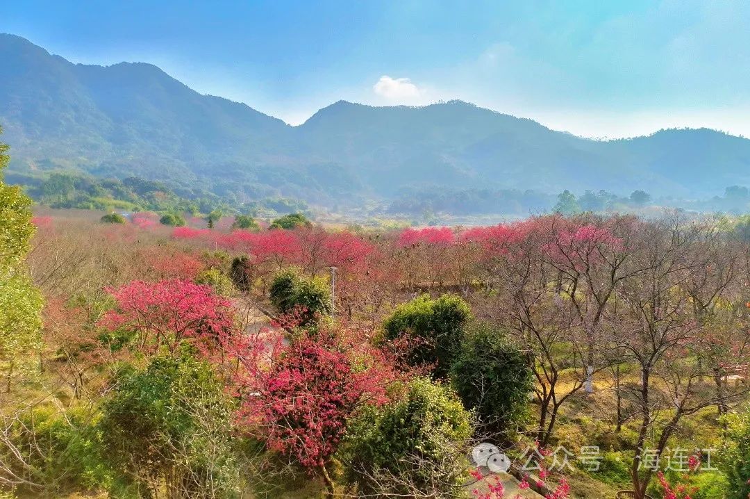 提前上线！福州林阳寺颜值巅峰！(图17)