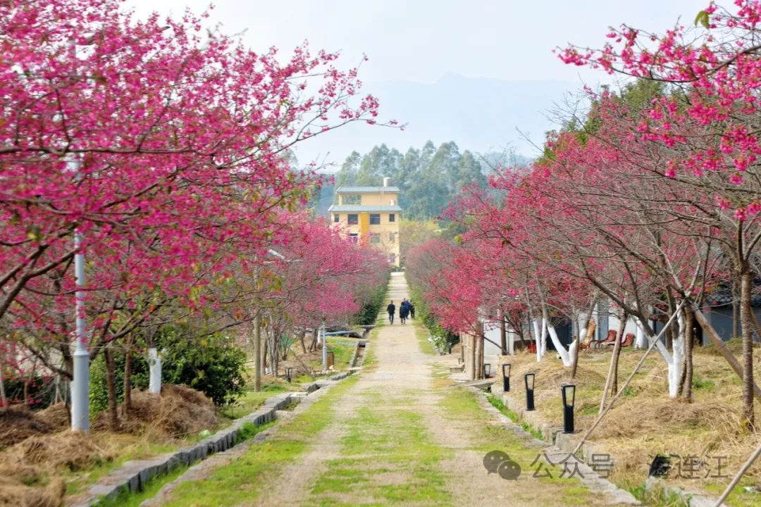 提前上线！福州林阳寺颜值巅峰！(图18)