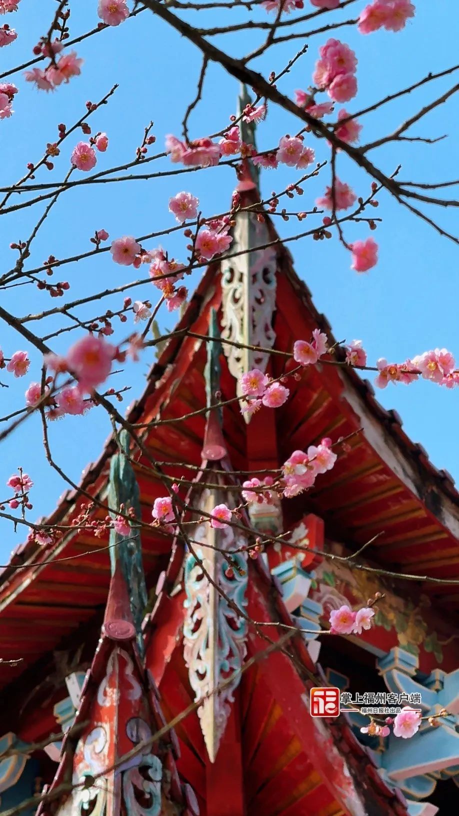 提前上线！福州林阳寺颜值巅峰！(图6)