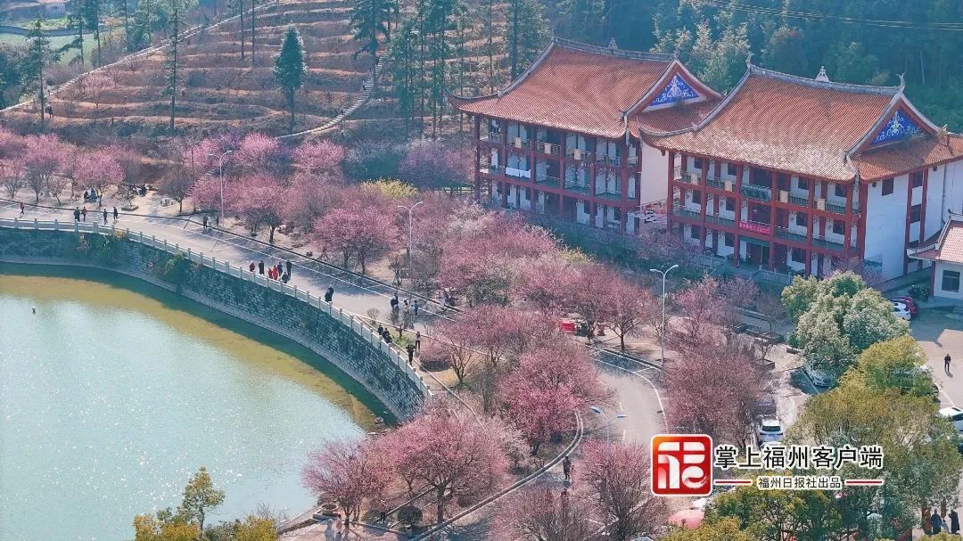 提前上线！福州林阳寺颜值巅峰！(图9)