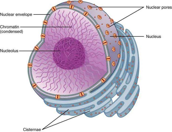 沙特科学家绘制全球最大海洋微生物基因数据库(图2)