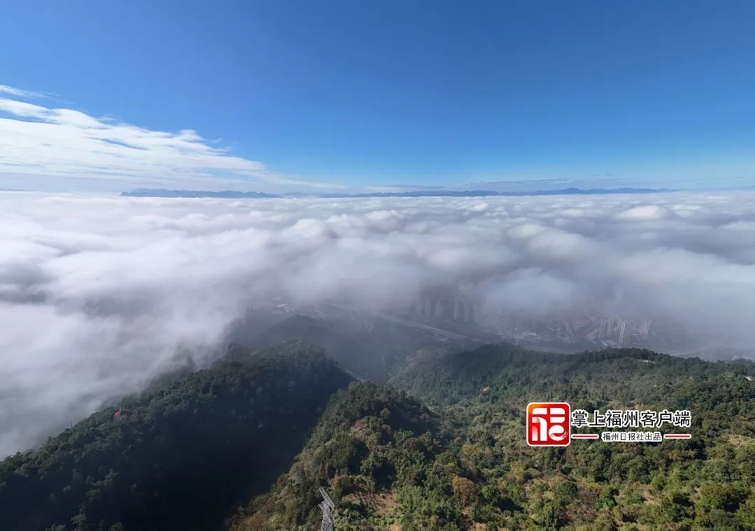 强寒潮即将抵达！雾来了，雨也在路上！(图5)