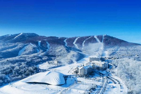 “旅游餐饮住宿”市场主体同比增长645.83%(图1)