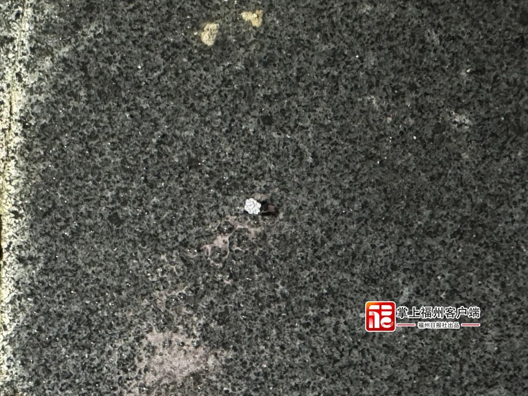 雪灾预警发布！晋安闽侯闽清罗源永泰……都在下雪！(图5)