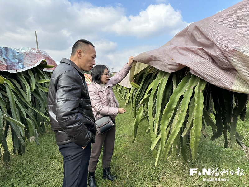 “南方小土豆”们不顾严寒奔向冰雪世界(图3)
