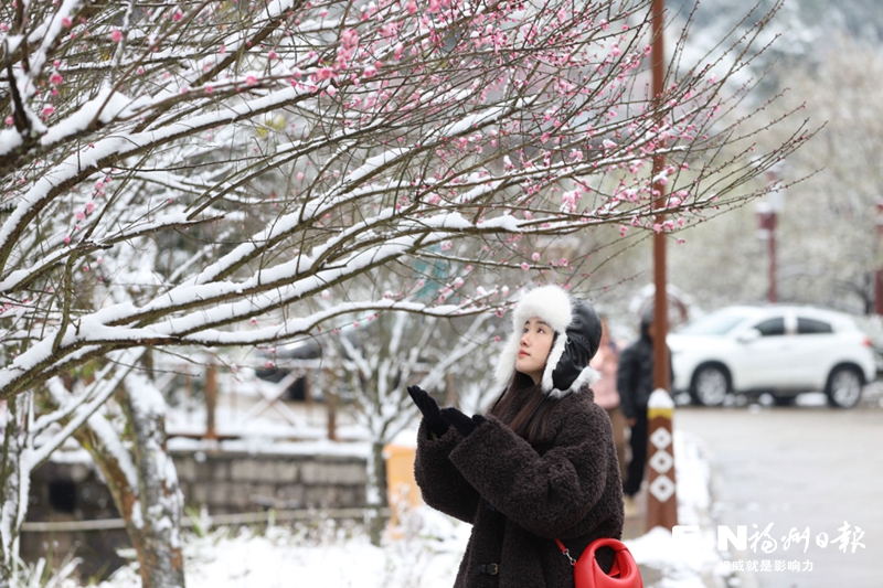 一夜飞雪榕城惊艳(图1)