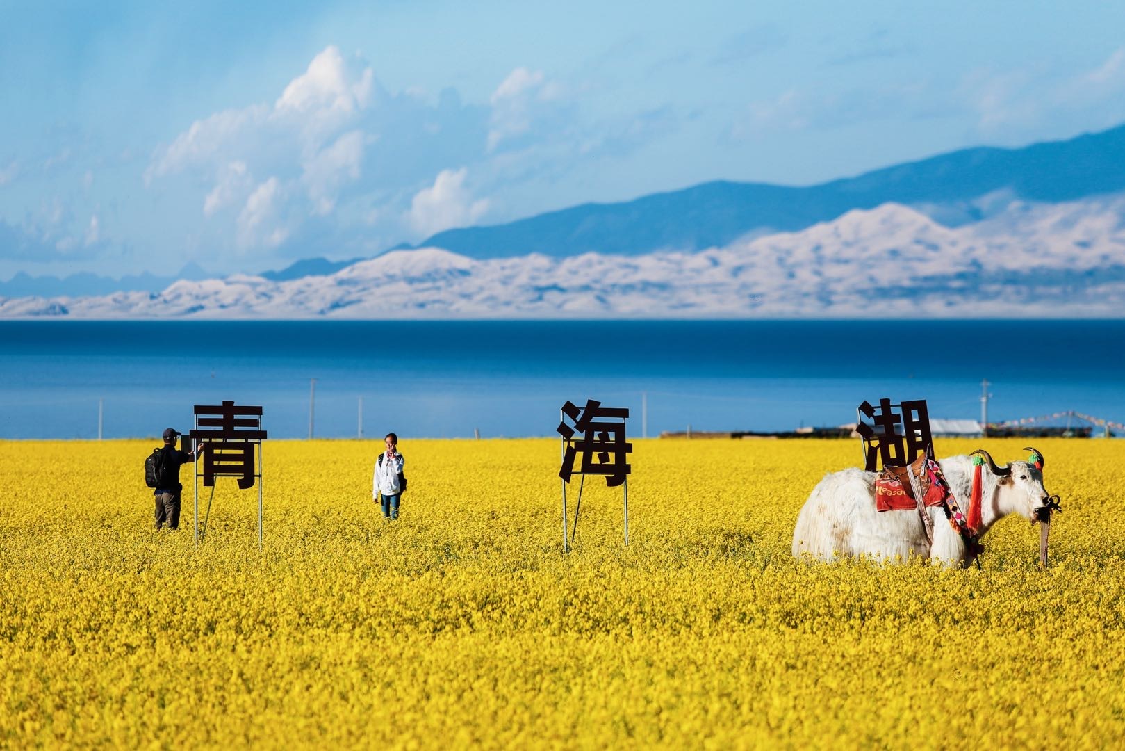 青海省打造“一芯一环多带”生态旅游发展格局