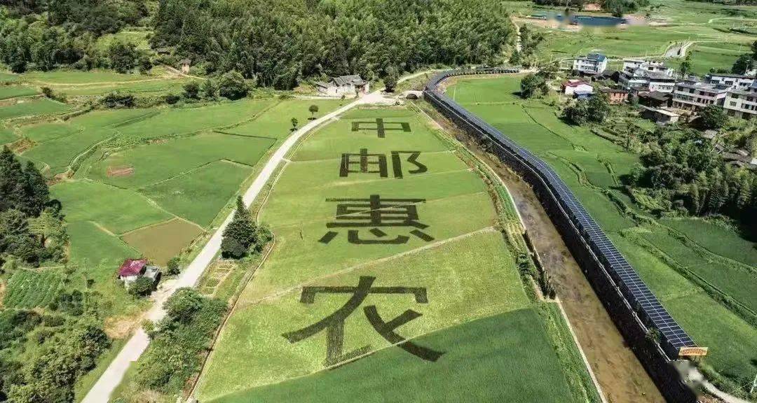 吴贤德主持召开市政府党组会议学习贯彻习近平总书记在省部级主要领导干部推动金融高质量发展专题研讨班