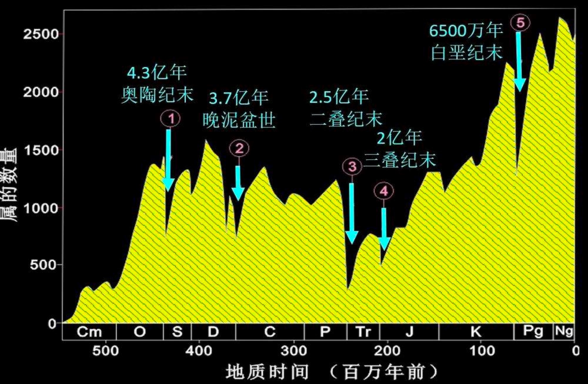 低纬度地区陆地生物大灭绝的时间推迟至6万年(图2)