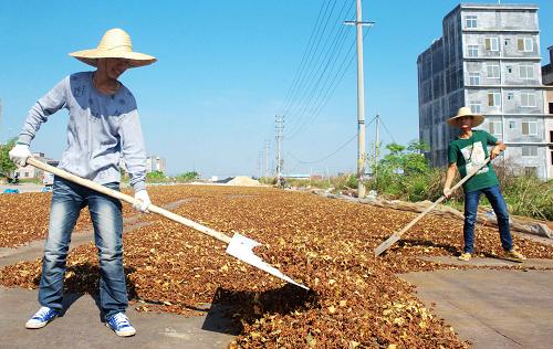 法国总理宣布多项新措施寻求抗议农民暂停封锁道路