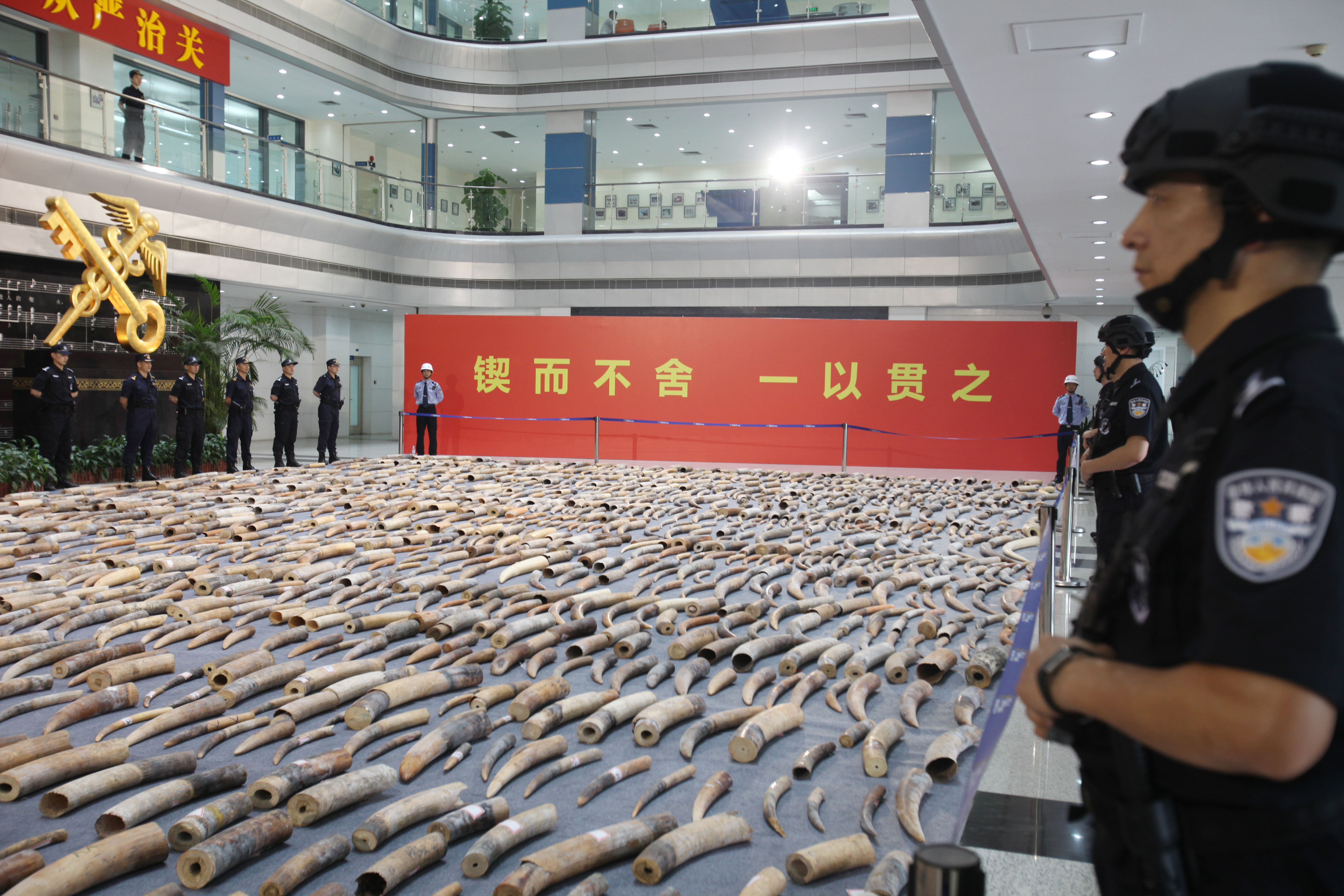 2023年打击海南离岛免税“套代购”走私十大典型案例