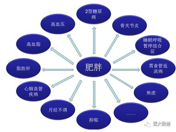 专家呼吁理性看待肥胖不要盲目选择影响身体健康方法(图2)