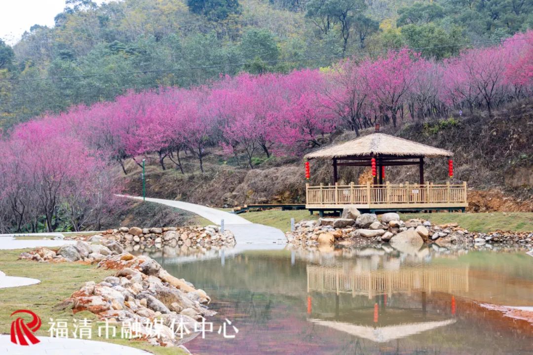 “花”点时间，一起“村”游赏花去(图4)