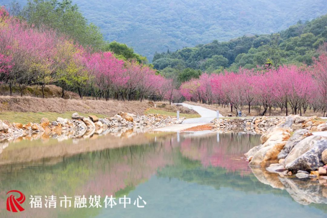 “花”点时间，一起“村”游赏花去(图5)