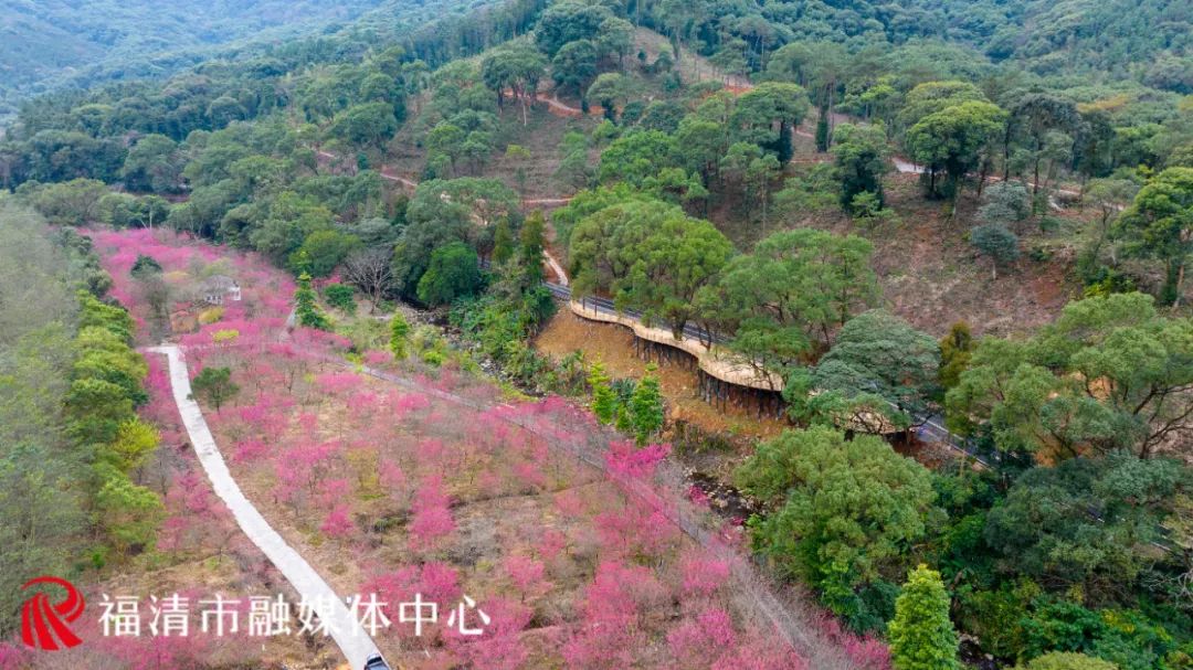 “花”点时间，一起“村”游赏花去(图6)