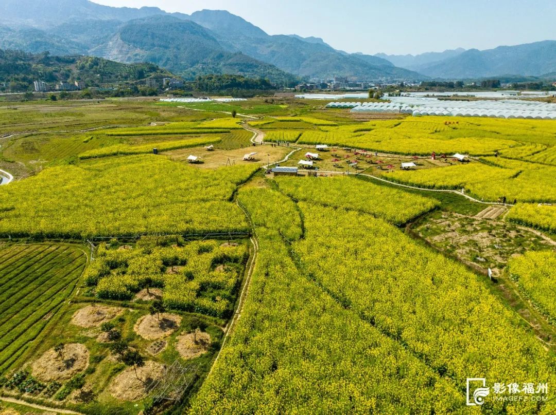 “花”点时间，一起“村”游赏花去(图7)