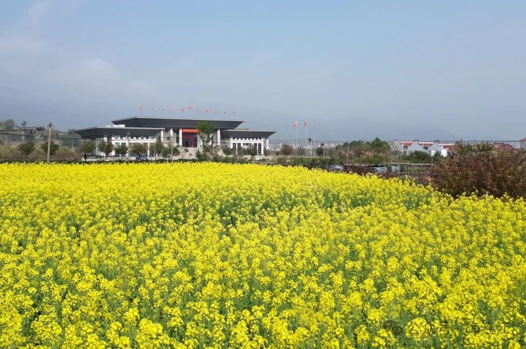 “花”点时间，一起“村”游赏花去(图9)